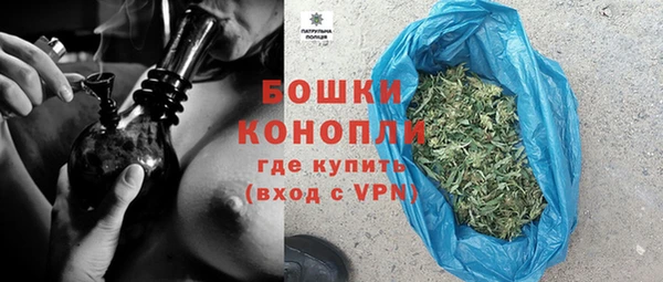 PSILOCYBIN Белоозёрский