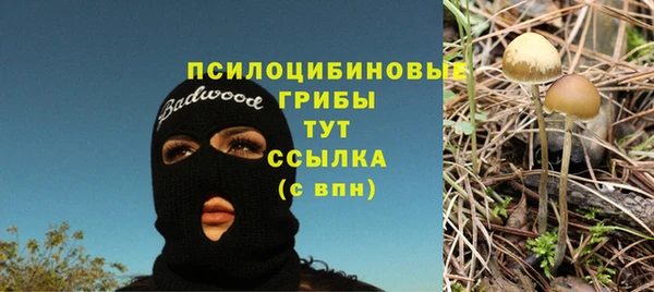 PSILOCYBIN Белоозёрский