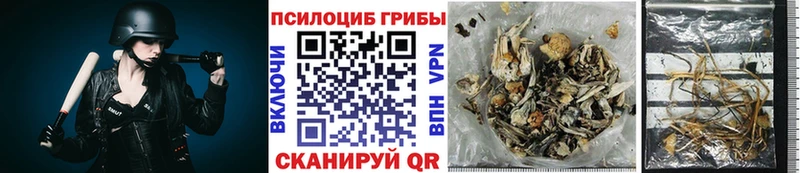 Псилоцибиновые грибы мицелий KRAKEN ONION Вятские Поляны