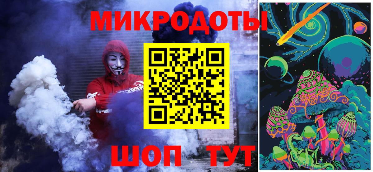 Псилоцибиновые грибы Psilocybe Вятские Поляны