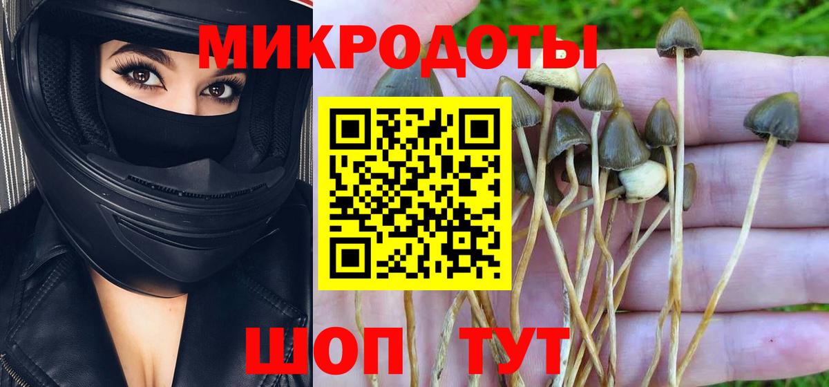 Галлюциногенные грибы мицелий  Вход с VPN  Вятские Поляны 